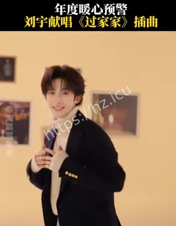 刘宇唱过家家
